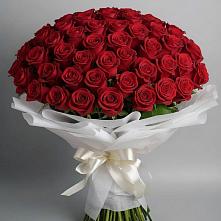 Букет 101 Красная роза Блэк Мэджик в Обушково
