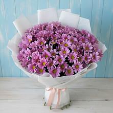 Букет цветов из:  Хризантемы #REPLACE_PRED# Обушково