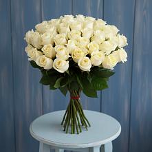 Букет 51 Белая роза Эдлесс Лав #REPLACE_PRED# Обушково
