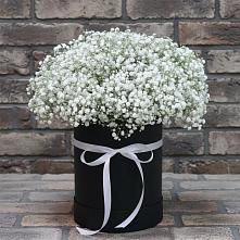 Цветочная композиция из Гипсофила в шляпной коробке в Обушково